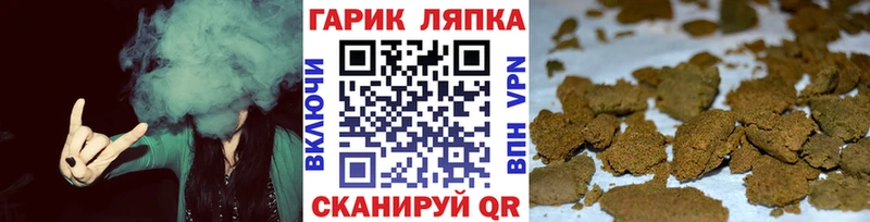 где продают наркотики  Сольцы  ГАШИШ индика сатива 