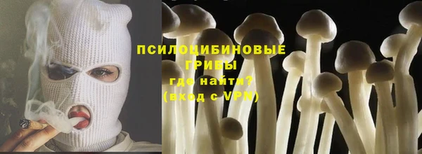 ГАЛЛЮЦИНОГЕННЫЕ ГРИБЫ Абдулино