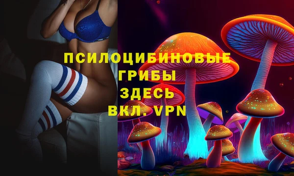 ГАЛЛЮЦИНОГЕННЫЕ ГРИБЫ Абдулино