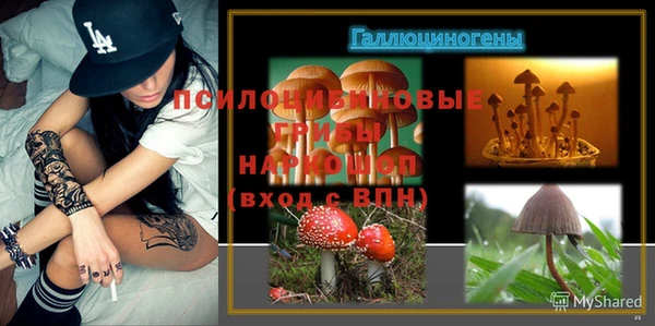 МДПВ Алзамай